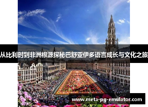 从比利时到非洲根源探秘巴舒亚伊多语言成长与文化之旅