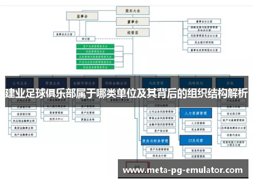 建业足球俱乐部属于哪类单位及其背后的组织结构解析 建业足球俱乐部属于哪类单位及其背后的组织结构解析